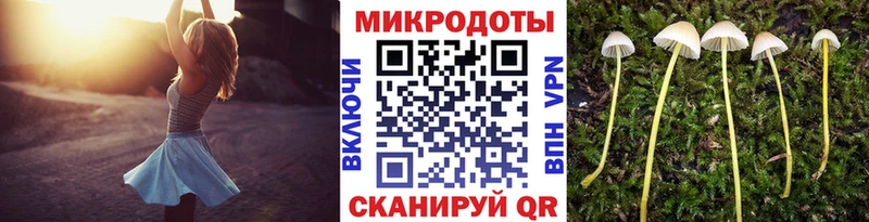 Купить закладки  Канаш  Галлюциногенные грибы мицелий 